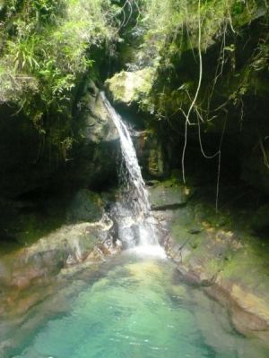 Piscine Naturelle